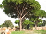 04993 ostia - regio i - insula xix - aula dei mensores (i,xix,3) - blick ri osten.jpg